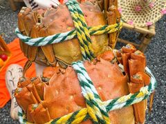 -丫丫蟹庄·苏式园林农家乐·阳澄湖大闸蟹(阳澄湖莲花岛店)