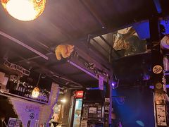 -后巷酒吧Back Alley(未来广场店)