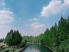-蜀绣公园