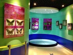 -上海昆虫博物馆