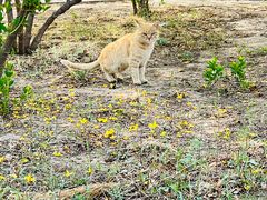 -野鸭湖国家湿地公园