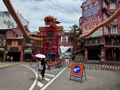 -马六甲鸡场街