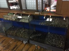 -蓝湾碧波·老字号·疍家非遗海上餐厅