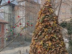 -腾爱熊猫咖啡生活馆(老东门店)