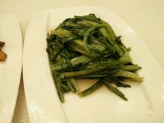 清炒油麦菜-楼兰印象(朝外店)
