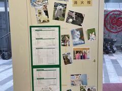 -爱妮康宠物医院·干细胞免疫细胞·肿瘤·心脏(张江店)