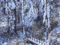 -瓦屋山景区