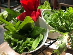 -彤德莱(奥林店)
