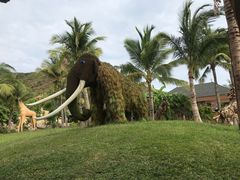 -芽庄珍珠岛游乐园