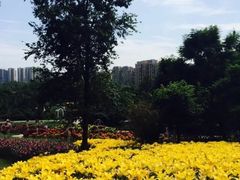 -白沙门生态公园