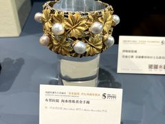 -凤凰中心