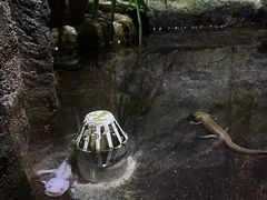 -青青世界