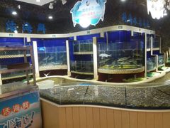 水产区-福泉海码头(六里山店)