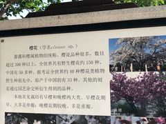 -裕华世纪公园