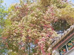 -深圳国际园林花卉博览园