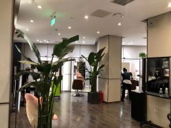 -崇尚GAVIN STYLE臻选