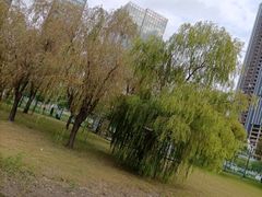 -陆家嘴中心绿地