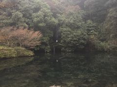 -龙井村