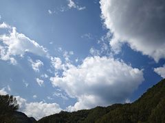-牛背梁国家森林公园