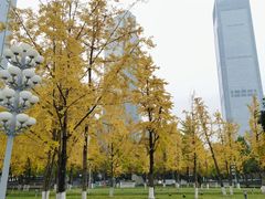 -重庆市江北嘴中央商务区中央公园