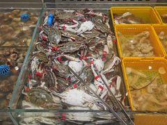 -半岛听涛蒸汽海鲜自助(K11店)