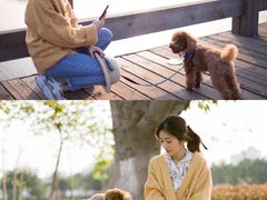 -五里桥文化公园-西侧停车场