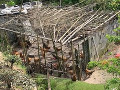 -藏龙百瀑风景区