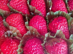 -红星农博物流中心