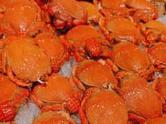 -盛宴自助餐厅(运达喜来登店)