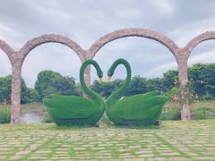 -鹅湖玫瑰文化园