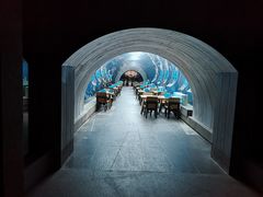 -海棠湾洲际-涛·海底餐厅·美人鱼·自助餐·海底隧道