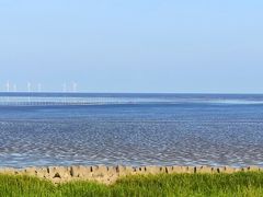 -南汇嘴观海公园