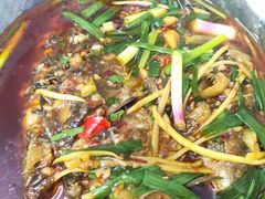 -糊涂兔毛毛菜(八里庄店)