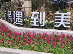 -和平公园