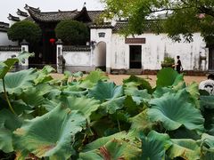 -清漾毛氏文化村