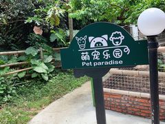 -青青世界