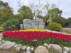 -上海鲜花港