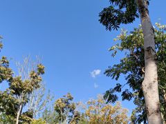 -牛岗山公园