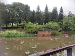 -映月湖公园