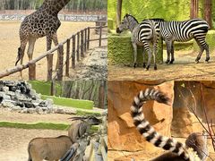 -北京野生动物园