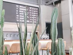 -West10 西拾·西餐厅·创意菜(未来科技城店)