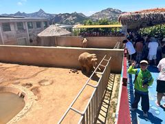 -西霞口神雕山野生动物世界