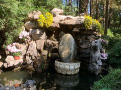 -上海醉白池公园