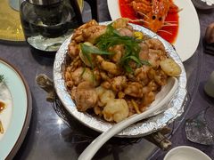 -丁老爷子苏香圆