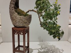 -汇龙潭