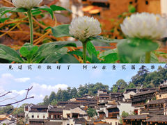 -篁岭景区