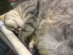 -小时光咖啡馆(开森度假森林店)