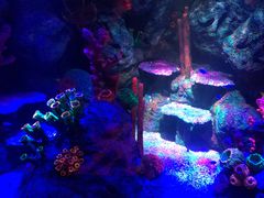 -沈阳海洋探索中心