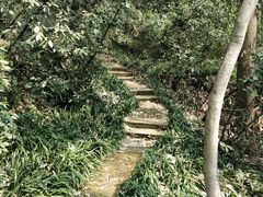 -杭州黄龙洞
