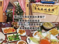 -西双版纳原始森林公园